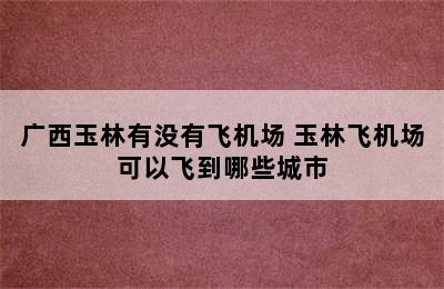 广西玉林有没有飞机场 玉林飞机场可以飞到哪些城市